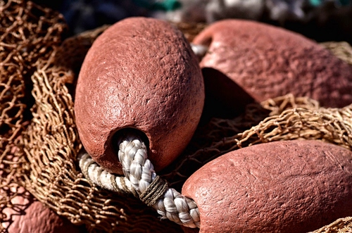 Immagine con rete, corda, galleggianti, pesca, dettagli, marrone