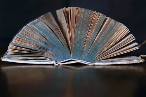 Immagine con pagine, libro, ventaglio, riflesso, tavolo, carta, fogli, tomo, copertina, arco, aperto, marrone