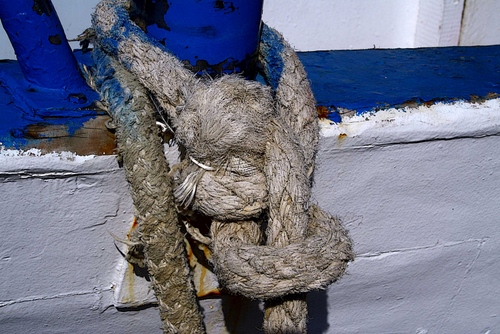 Immagine con bianco, blu, corda, nodo, barca, cima