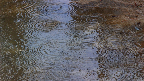 Immagine con acqua, pioggia, pozzanghera, gocce, cerchi, maltempo, riflesso