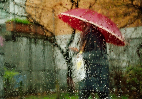 Immagine con ombrello, pioggia, gocce, vetro, rosso, acqua, passante, albero, persona, finestra, rami