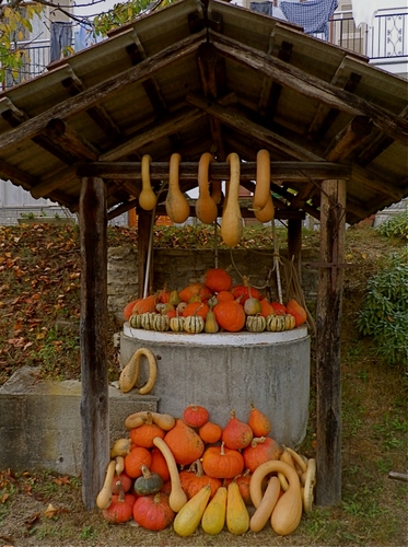 Immagine con zucche, pozzo, tetto, arancione, legno, verde, giallo, erba, arancio, gialle, palazzo, pali, case, tegole, forme, ringhiera, tettoia, balcone, cemento