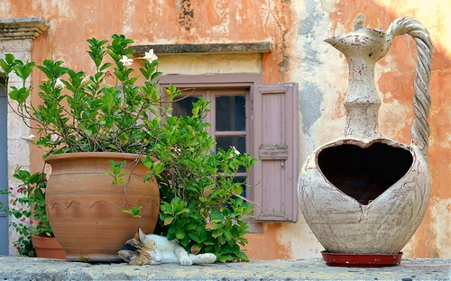 Immagine con finestra, verde, cuore, gatto, fiori, vaso, anfora, vasi, pianta, foglie, manico, micio, piante, bianco, muro, sottovaso, terracotta