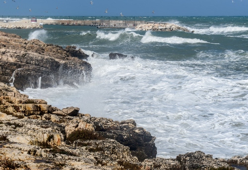 Immagine con mare, onde, scogli, acqua, schiuma, scogliera, cielo, bianco, rocce, mareggiata, gabbiani, costa, azzurro