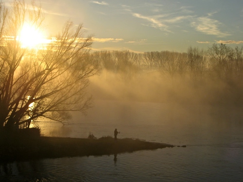 Immagine con nebbia, cielo, sole, alberi, nuvole, acqua, pescatore, tramonto, fiume, controluce, foschia, rami, riflesso, riflessi, persona