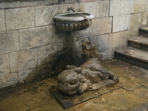 Immagine con acqua, rubinetto, fontana, animale, scalini, pietra, muro, statua, cane, scale, zampillo, bere, fontanella, scultura, sdraiato, vaschetta, bocca, pietre, aperta