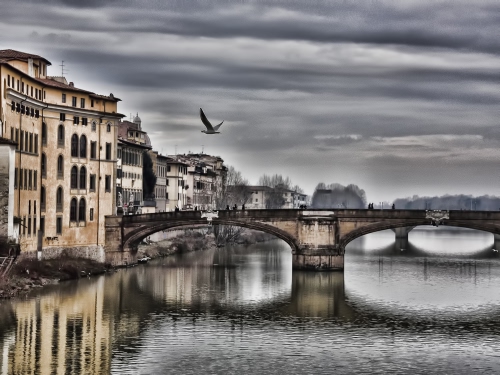 Immagine con ponte, nuvole, fiume, acqua, archi, cielo, grigio, case, riflesso, gabbiano, riflessi, finestre, uccello, ponti, palazzi, maltempo, arcate