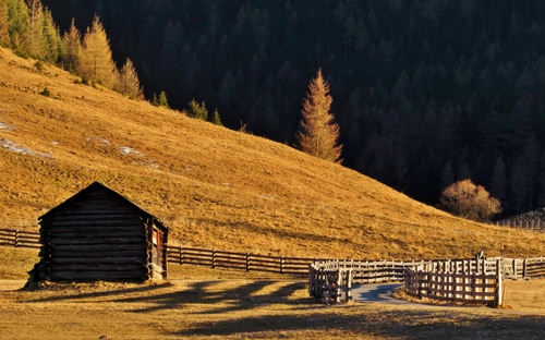 Immagine con alberi, staccionata, baita, legno, montagna, staccionate, erba, nero, strada, autunno, giallo, steccato, recinti, ombre, collina, capanno, recinto, sentiero, montagne, notturno