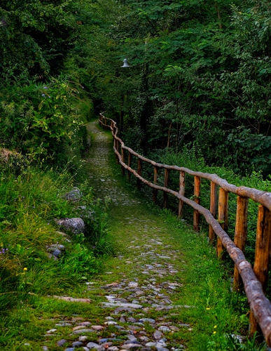 Immagine con staccionata, sentiero, alberi, verde, sassi, bosco, legno, lampione, foglie, piante, erba, pietre, strada