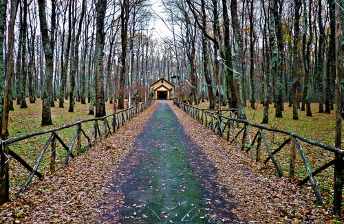 Immagine con foglie, alberi, staccionata, autunno, viale, bosco, casa, strada, verde, prospettiva, chiesa, tronchi