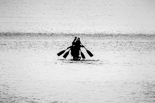 Immagine con mare, remi, barca, bianconero, acqua, silhouette, quattro, controluce, onde, canoa, sport, imbarcazione, remare, rematori
