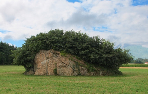 Immagine con nuvole, cielo, verde, prato, masso, erba, alberi, roccia, pietra, azzurro, cespugli, bianco, piante, sasso