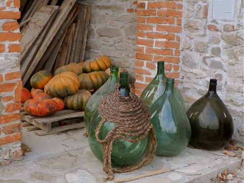 Immagine con zucche, vetro, damigiane, legno, mattoni, verde, muro, bottiglie, bancale, cinque, ortaggi, corda, damigiana, arancione, fiaschi