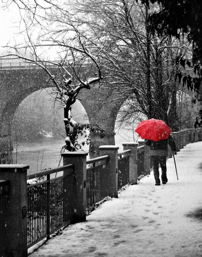 Immagine con ombrello, neve, ponte, alberi, rosso, inverno, uomo, parapetto, fiume, bastone, ringhiera, bianco, grigio, lungofiume, orme, passante, archi, persona, rami