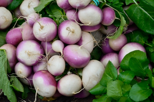 Immagine con viola, verde, foglie, bianco, ravanelli, verdura, radici, ortaggi, cibo, rape