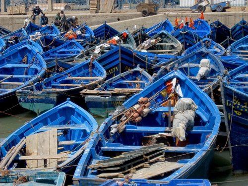 Immagine con barche, porto, azzurro, blu, legno, carretti, pescatori, galleggianti, tante, reti, acqua, banchina, rimessaggio, remi