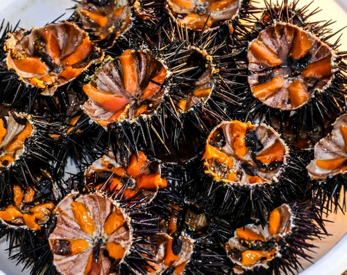 Immagine con ricci, mare, spine, piatto, arancione, cibo, aculei, uova, arancio