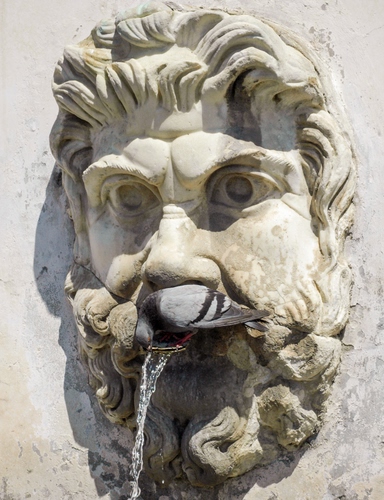 Immagine con fontana, occhi, acqua, piccione, barba, mascherone, naso, capelli, bere, marmo, colombo, scultura, uccello, pietra