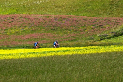 Immagine con verde, ciclisti, fiori, biciclette, giallo, tre, campi, prati, bici, erba, sport, colori, due