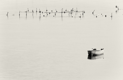 Immagine con barca, acqua, bianconero, pali, lago, mare, minimalismo, riflesso, riflessi, bianco, legno, imbarcazione