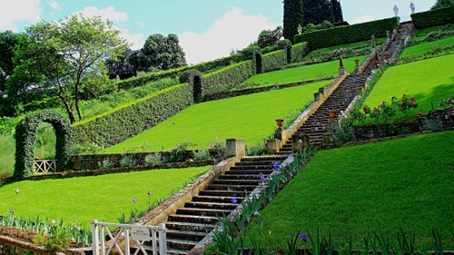 Immagine con verde, giardino, scale, scalinata, gradini, prato, scala, siepe, erba, siepi, fiori