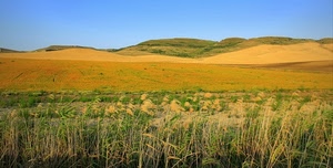 colline, erba, verde, cielo, giallo, campi, campo, panorama, azzurro, prato, collina, campagna