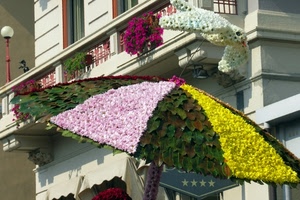 fiori, foglie, giallo, ombrello, balcone, ombrellone, colomba, verde, rosa