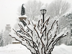 neve, inverno, lampione, rami, statua, albero, alberi, monumento