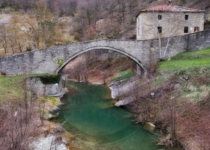 ponte, casa, alberi, acqua, fiume, arco, finestre, inverno, pietra, erba, antico, verde, torrente, rive, riflesso