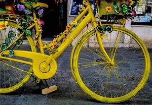 bicicletta, ruote, fiori, raggi, giallo, pedali, vetrina, sellino, decorazioni, cestino, pedale, verde, foglie, strada, porta, catena