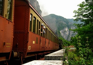 treno, montagna, vagoni, montagne, vagone, albero, alberi, persone, passeggeri, carrozze, finestrini