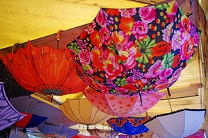 ombrelli, fiori, appesi, colori, rosso, giallo, aperti, multicolore, blu, rosa, verde, viola, tanti, colore, ombrello