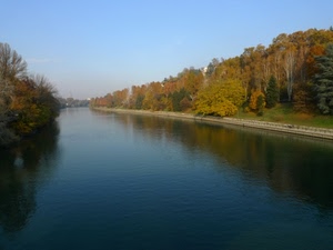 alberi, fiume, acqua, autunno, riflessi, rive, canale, cielo, riflesso