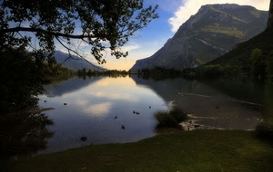 lago, nuvole, montagna, cielo, acqua, alberi, riflesso, montagne, prato, albero, rami, verde, foglie