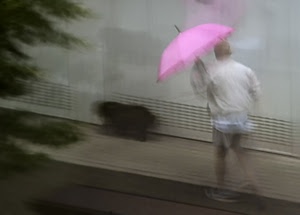 ombrello, cane, rosa, albero, mosso, uomo, pioggia, mossa, sfocato, persona