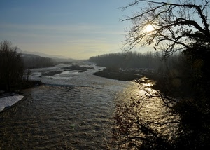 fiume, controluce, acqua, rami, alberi, albero, sole, inverno, neve, tramonto