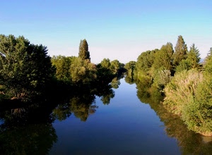 fiume, alberi, acqua, cielo, verde, riflesso, riflessi, piante