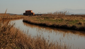 acqua, canale, casa, erba, fiume, campi, edificio, natura