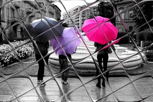 ombrelli, rosa, tre, vetro, persone, viola, nero, pioggia, colori, fontana, bianconero, fucsia, fiori, riflesso, quadrati, lilla, colore, selettivo