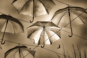 ombrelli, fili, seppia, rami, sospesi, manici, appesi, luce
