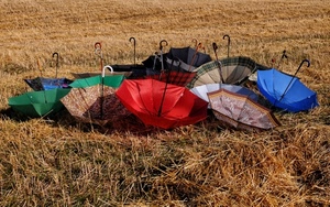 ombrelli, rosso, prato, colori, blu, campo, manici, aperti, erba, verde