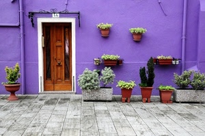 vasi, viola, porta, piante, casa, fiori, portone