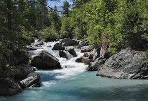acqua, torrente, alberi, rocce, fiume, verde, bosco, cascata