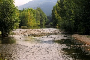 alberi, acqua, fiume, sassi, verde, montagna, torrente, ciottoli, piante
