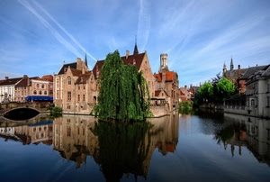 fiume, ponte, albero, riflesso, riflessi, acqua, salice, panorama, città