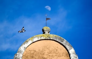 cielo, luna, uccello, azzurro, nuvole, croce, arco, bandiera, volo, semicerchio, banderuola, chiesa, cupola