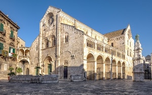 piazza, rosone, chiesa, archi, cattedrale, finestre, porte, monumento, piante, colonne, duomo, case, portone, cielo, facciata, statua, sagrato, romanico, porticato, azzurro, bifore, ringhiere