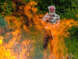 fuoco, fiamme, verde, barba, uomo, vecchio, anziano, alberi, rosso, contadino, baffi, camicia, erba, piante, foglie, incendio, arancione, giallo
