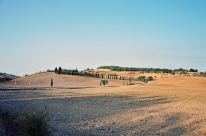 alberi, terra, cielo, strada, azzurro, collina, ombre, cipressi, paesaggio, verde, colline, campagna, toscana, pali, marrone, giallo, celeste, campo, panorama