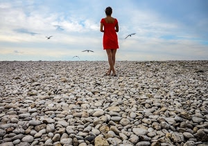 rosso, nuvole, cielo, sassi, donna, gabbiani, uccelli, vestito, spiaggia, gambe, bianco, azzurro, abito, ciottoli, ragazza, ghiaia, solitudine